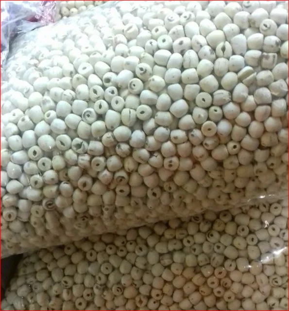 Семена белого лотоса