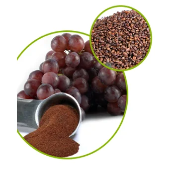 Cold Pressed Grape Seed Oil