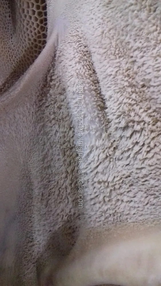 For Sell Frozen Beef Meat Tripe A Grade High Quality