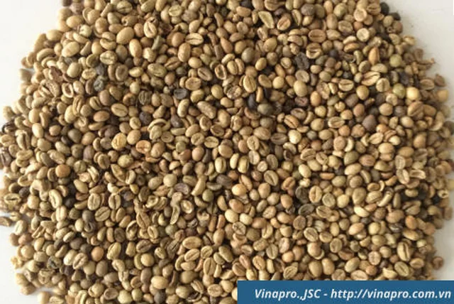 ROBUSTA COFFEE BEANS, HIGH QUALITY GOOD PRICES
