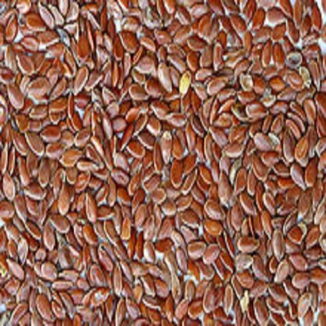 Indian origin Flax seed alsi  seeds