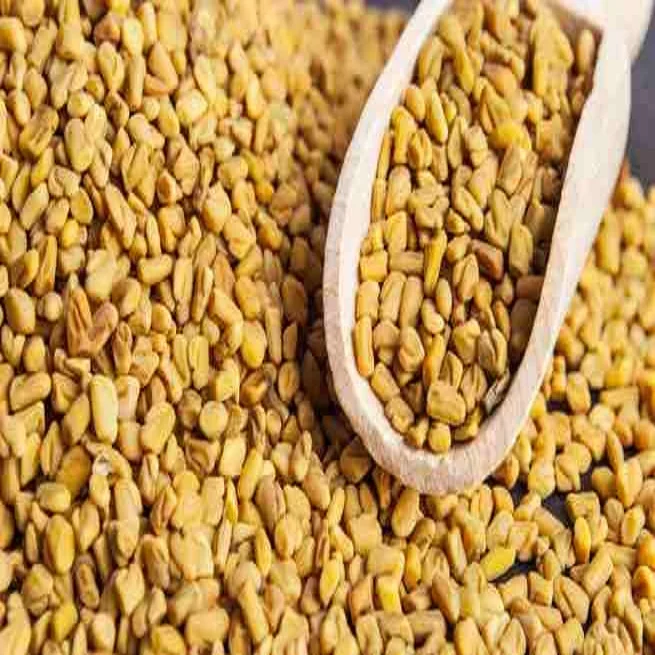 supplier of fenugreek seed from India use for cooking spices 100% pure organic packaging 5kg 10kg 15kg bag