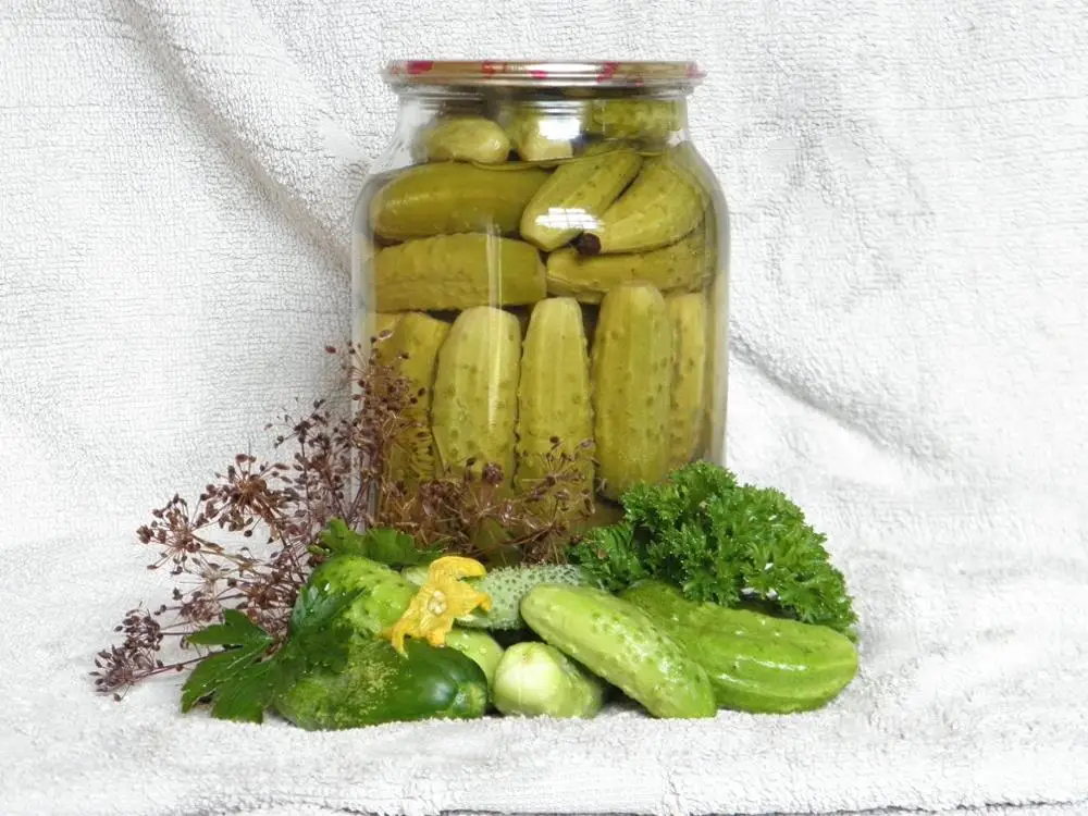 
BABY CUCUMBER PICKLES +84-845-639-639 (Whatsapp) 