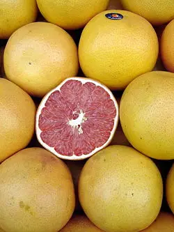 Grapefruit 100% Natural and Pure Hydrosol Floral Water