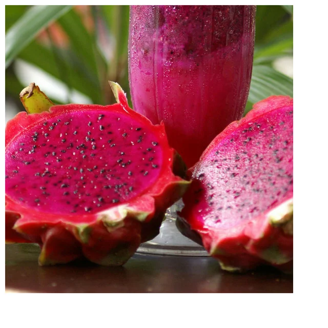 Vietnam high quality dragon fruit/pitaya good price New crop white red dragon fruit wholesale with best price