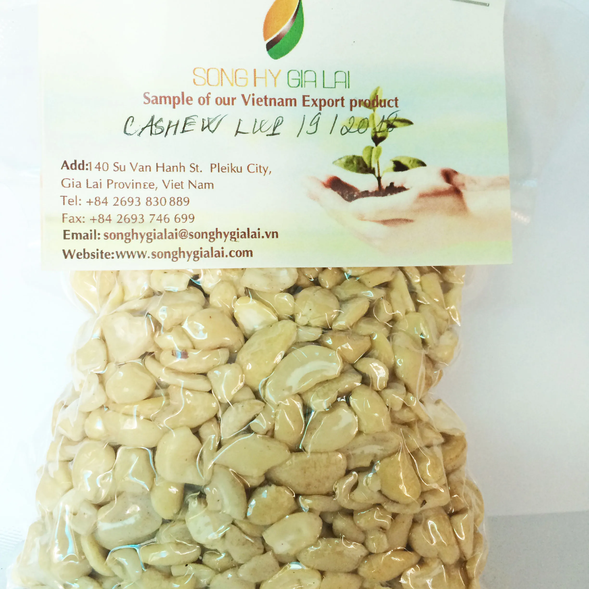 Vietnamese Cashew kernels Whole & small piecces