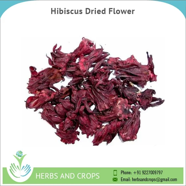 Hibiscus Rosa Sinensis Dried Flower