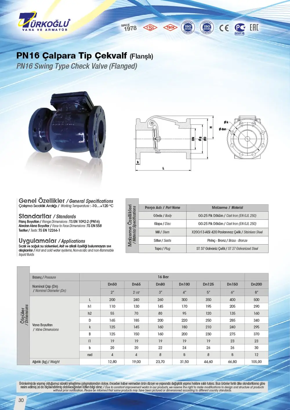 
DN50 Flanged Swing Check Valve 