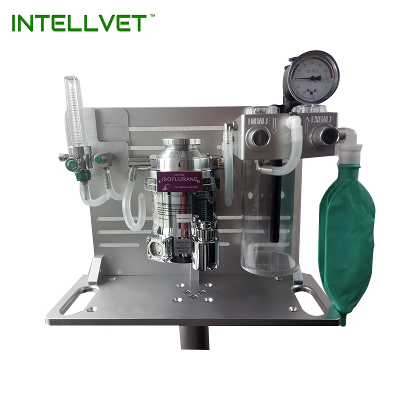 
Small Animal Anesthesia Machine with Isoflurane Vaporizer 