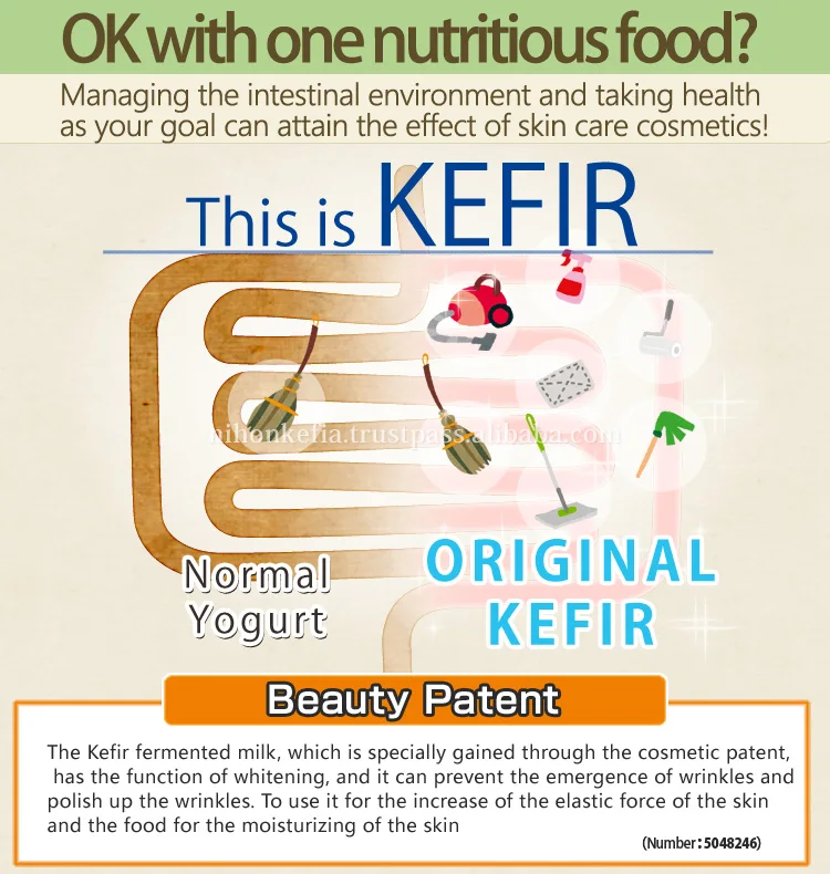 
Nutritious yogurt maker , kefir starter culture , for home use , enzyme also available 