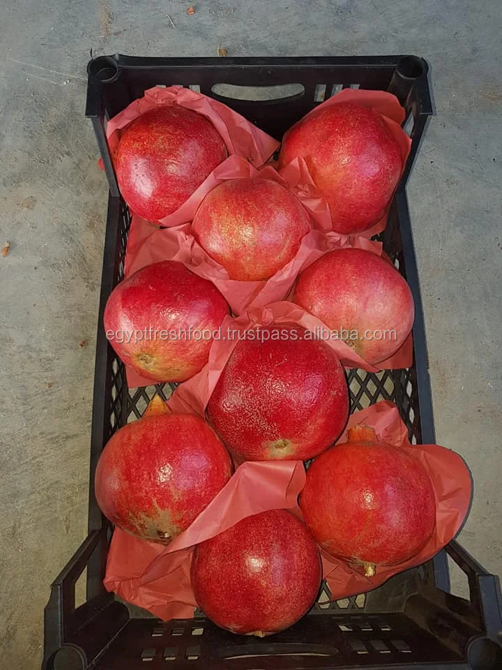 
Pomegranate ready to export fresh crop from Egypt , fresh pomegranate wholesale 