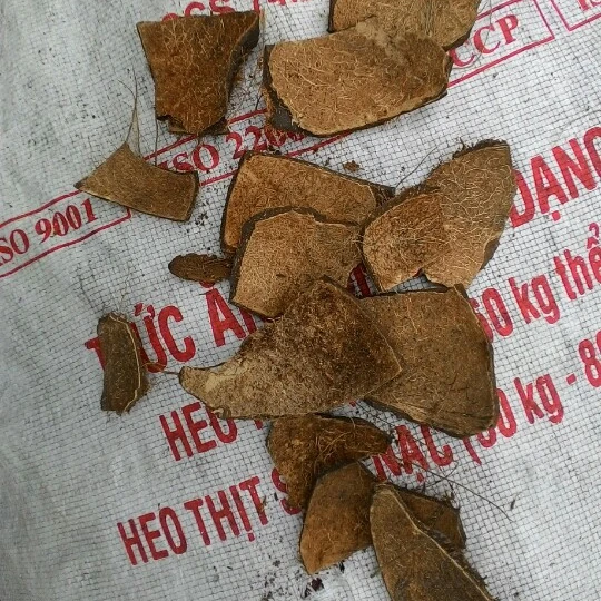 Кокосовая Скорлупа-новый продукт для экспорта 2021