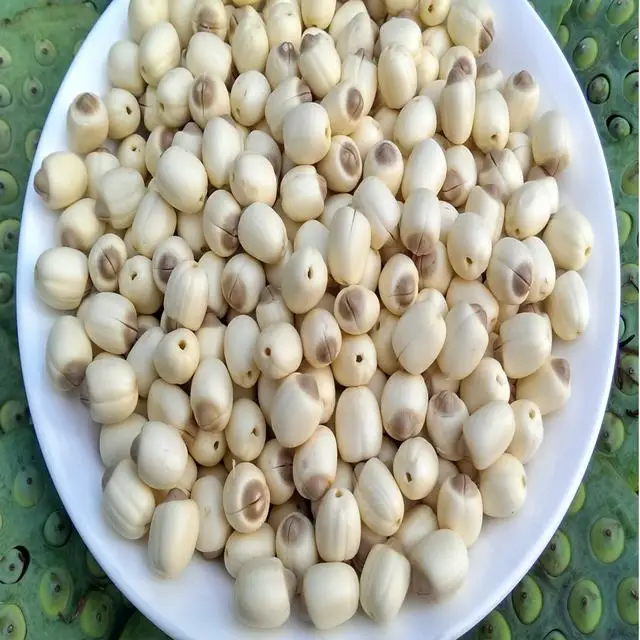 OGARNIC DRIED LOTUS SEED WITH WHITE/BLACK SHEED / LOTUS TEA- Cheapest price 2018 ( whatsapp +84907377828)