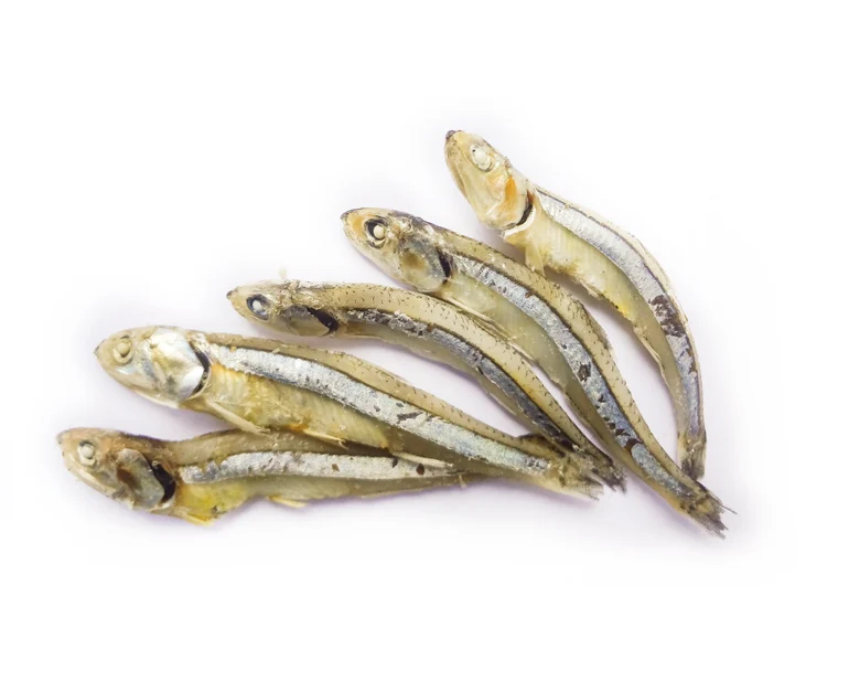 Anchovy dry fish delicious