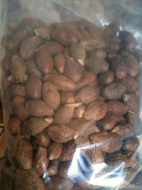 DRIED MALVA NUT / PANG DA HAI /Sterculia Lychnophora WHATSAPP+84-845-639-639