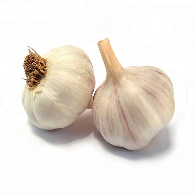 
Fresh Indian Garlic / Garlic From India / Fresh Garlic in wholesale 