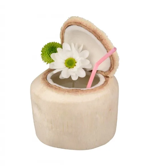 
Green Organic Coconut/Fresh Young Sweet Coconut/Hot deal Coconut 