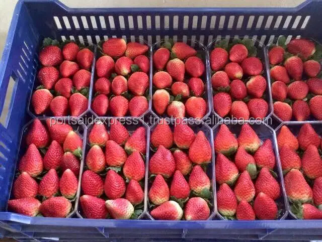 fresh strawberry price 2023