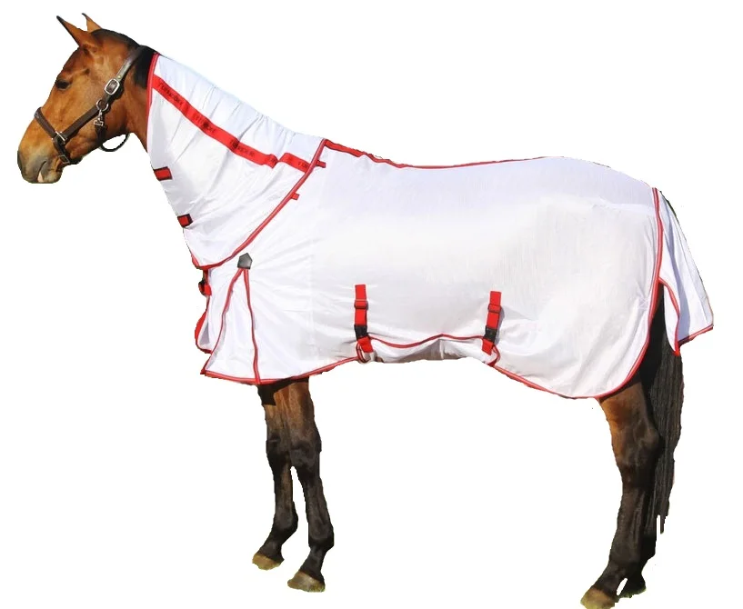 Horse Rugs/Blue Towelling Horse Rug