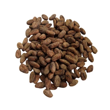 
Best Price Cocoa Beans 