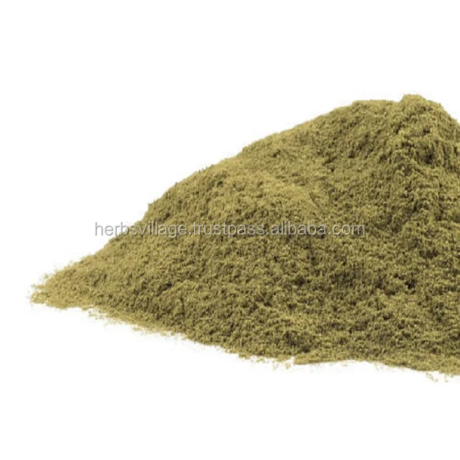 Cassia Angustifolia Extract Powder