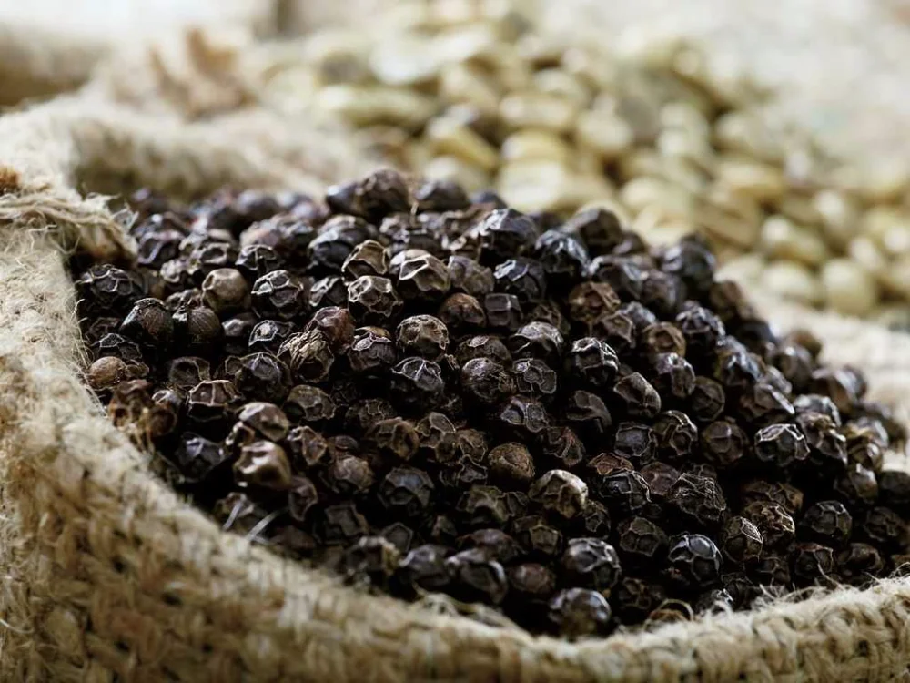  Черный перец 550 г/л очистка из Вьетнама