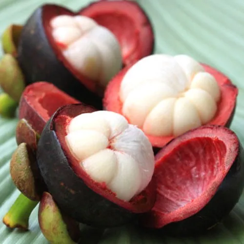 SALE MANGOSTEEN/ FRESH MANGOSTEEN FROM VIETNAM MANUFACTURER SELLING IN BULK QUALITY AND CHEAP PRICE