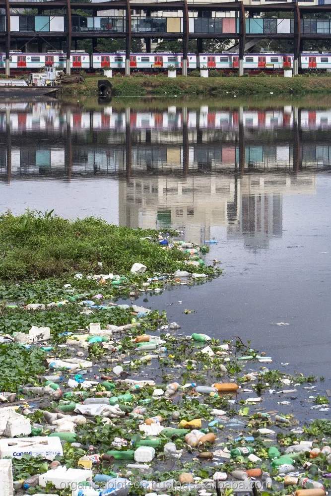 Industrial enzymes for sewage treatment of clogged pipelines