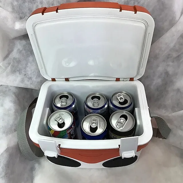 Ice cooler box radio