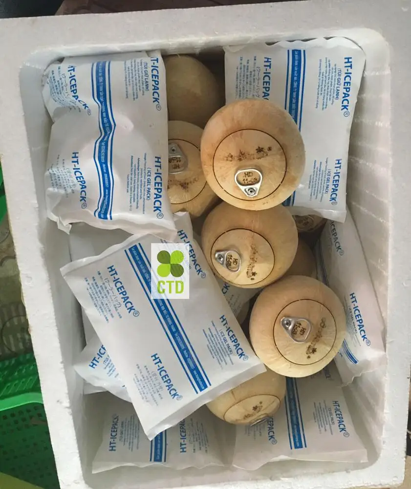 
EASY OPEN COCONUT_High Quality 