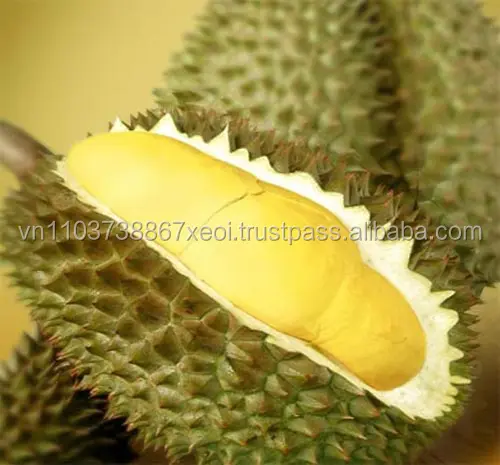 DURIAN PRODUCTS (Ms.Holiday)