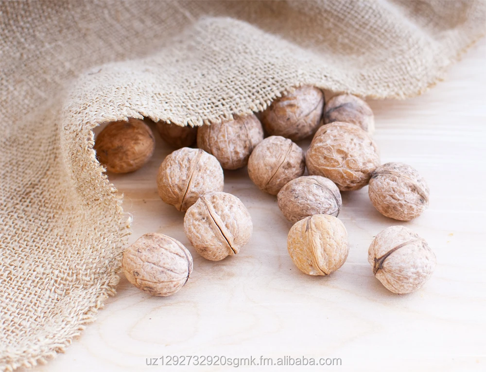 walnut kernels