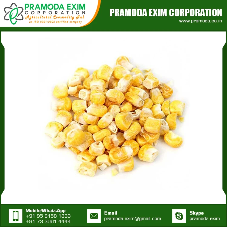 
Wholesale Price Yellow Corn Export Quality Dried Yellow Maize Corn for Sale 