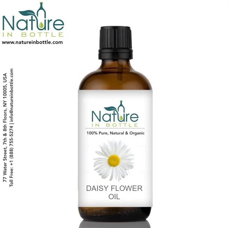 Daisy Infused Oil | Daisy Flower Oil | Bruisewort - Organic - 100% Pure and Natural Essential Oils - Wholesale Bulk Price