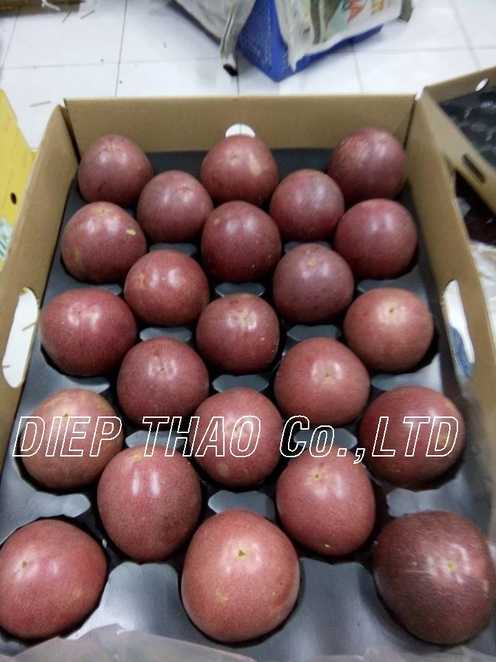 FRESH PASSION FRUITS/ SUPPLY FRESH PASSION FRUITS