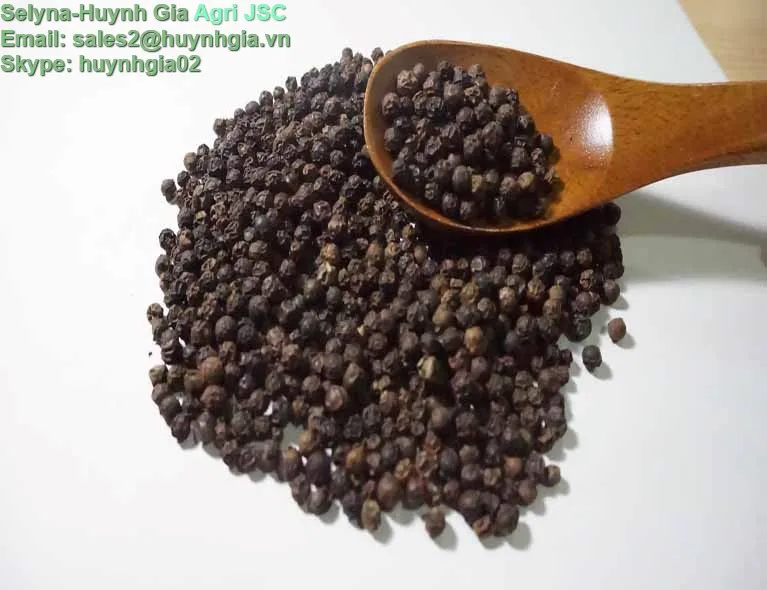 Vietnam Manufacturer High Quality Raw Processing Clean Dried Black Pepper 570 GL With 2 Years Shelf Life