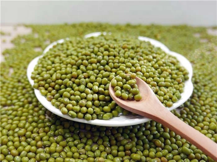 High Quality Green Mung Beans,Mung Beans,Mung Bean Peeling Machine Ready to Export