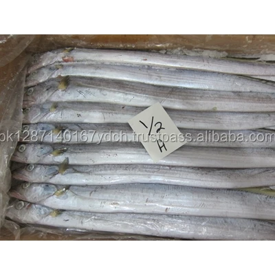 Frozen Ribbon Fish - Pakistan Origin Frozen Ribbon Fish