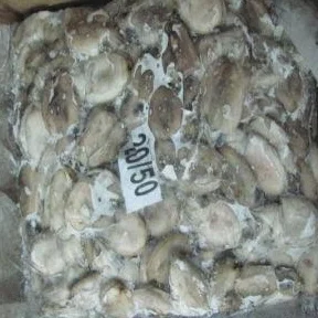
BABY CUTTLEFISH WHOLE SIZE - 20/50,50/100,100/150 - READY STOCK 
