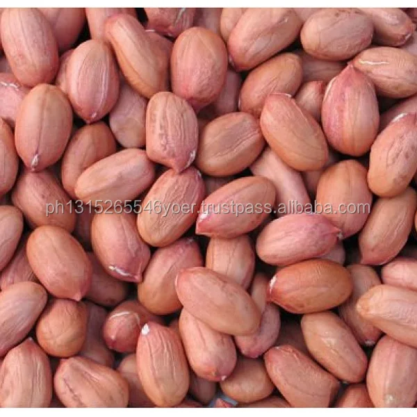 2018 new arrival groundnut blanched peanuts
