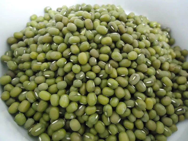 CHINESE MUNG BEAN/GREEN GRAM/whatsapp: +84 845 639 639