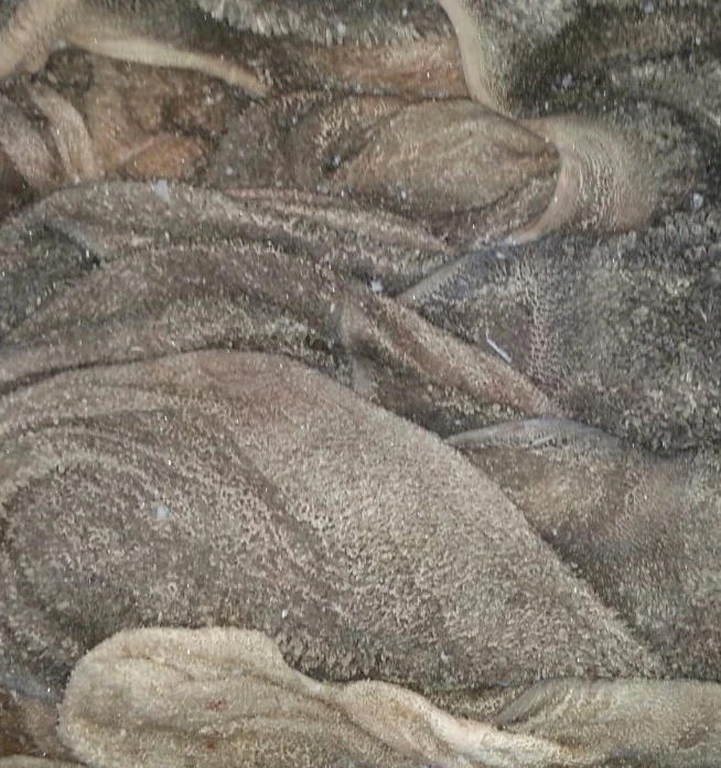 
FROZEN LAMB GREEN TRIPES 