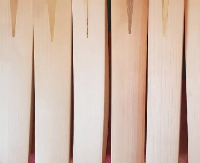 Cricket Bat English Willow Grade 1