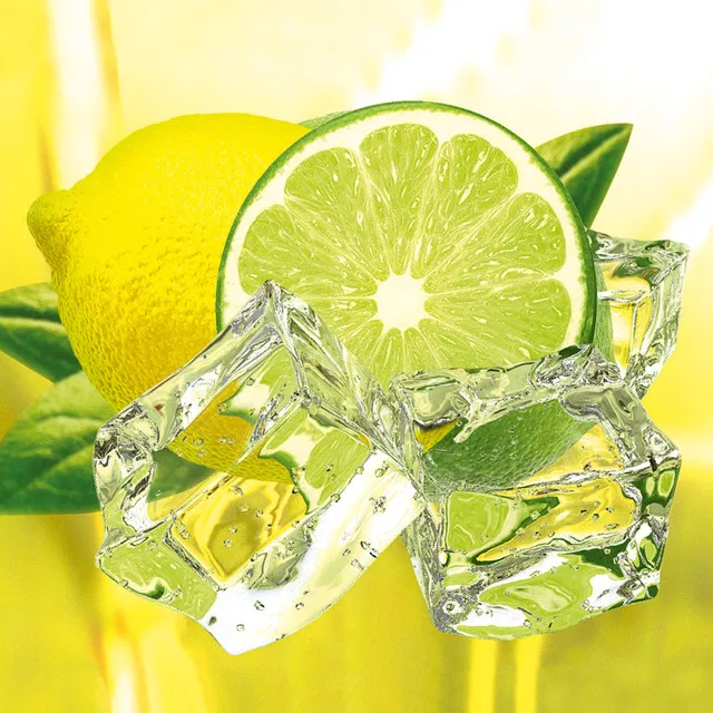 
FRESH LIME WITH HIGH QUALITY AND BEST PRICE 