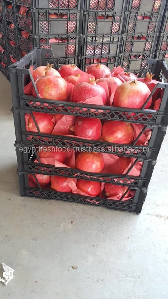 
Pomegranate ready to export fresh crop from Egypt , fresh pomegranate wholesale 