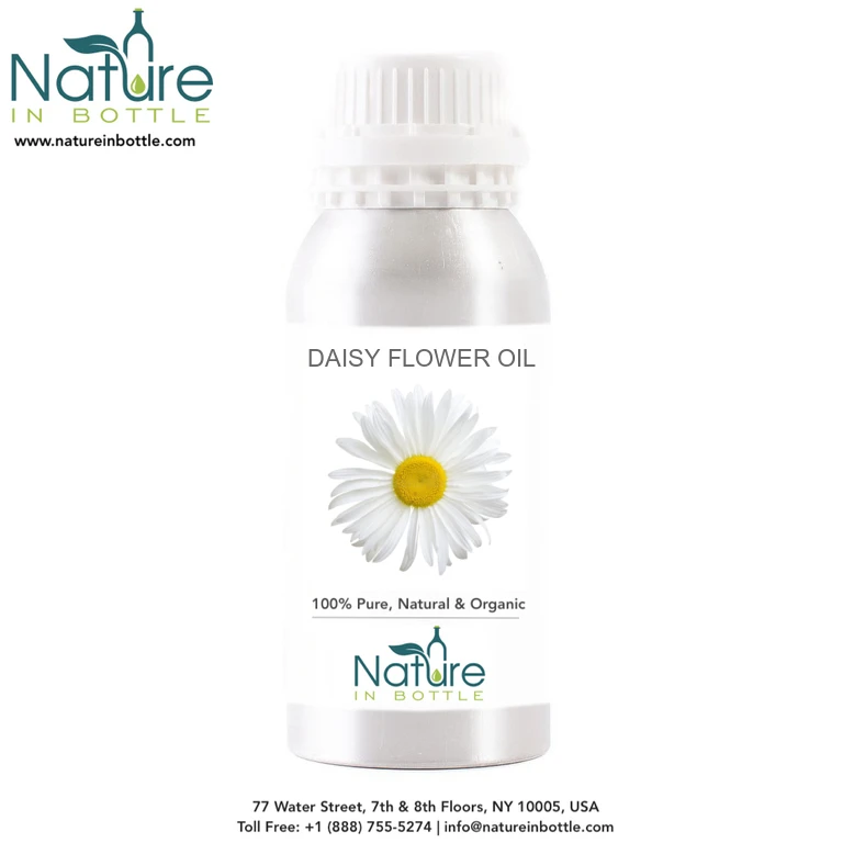 Daisy Infused Oil | Daisy Flower Oil | Bruisewort - Organic - 100% Pure and Natural Essential Oils - Wholesale Bulk Price