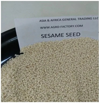 
Sesame Seed Natural/Hulled And Sudani sesame seed 