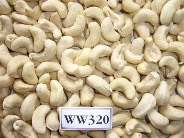 WW 320 Cashew nut Viet Nam