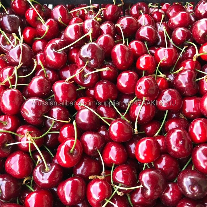 Свежая Вишня греческая вишня для экспорта Сладкая Вишня