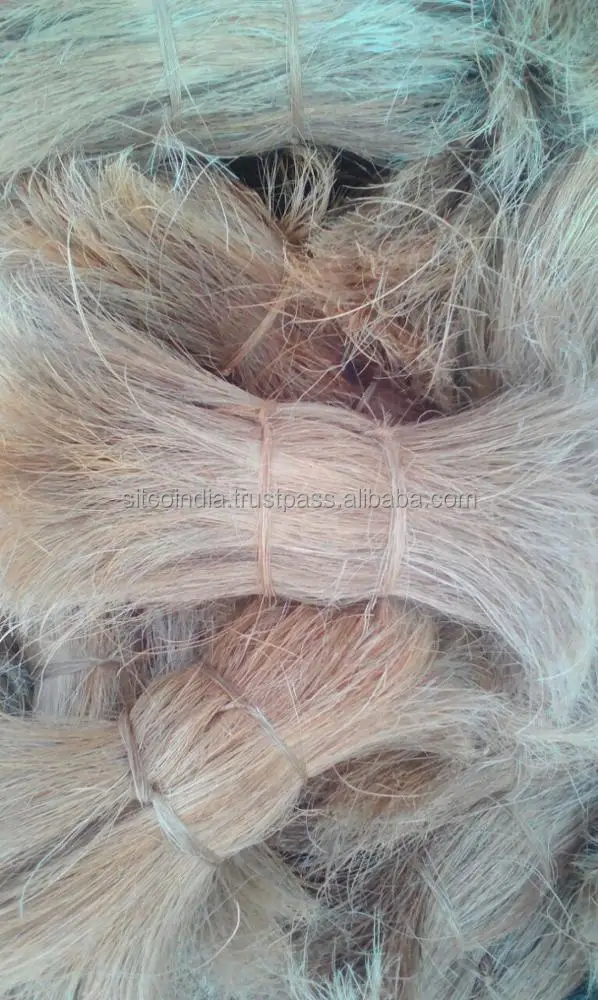 Coconut Coir Bristle Fiber